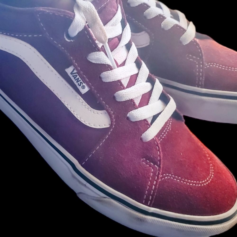 VAN'S Old Skool Skate Shoe